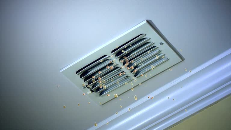 Best Home Air Vent Cleaning  in Fulton, MO